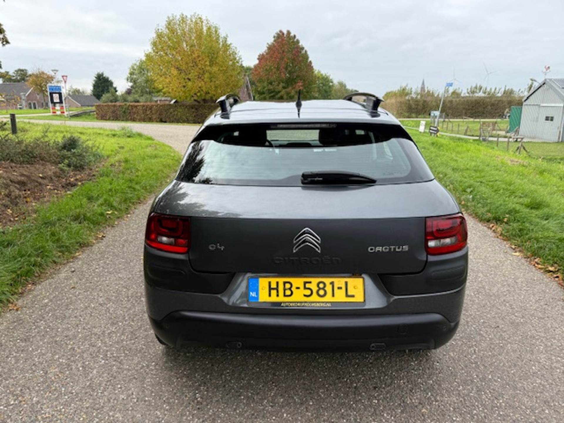 48549588-9.jpg